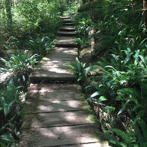 Meet your Posher, Tara